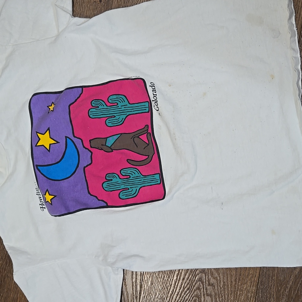 VINTAGE HANES BEEFY T GRAPHIC TSHIRT.. COLORADO.  #7214